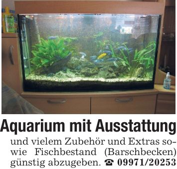 Aquarium mit Ausstattung und vielem Zubehör und Extras sowie Fischbestand (Barschbecken) günstig abzugeben. _ ***