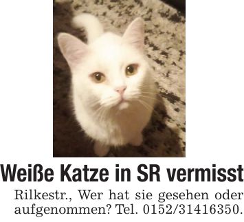 Weiße Katze in SR vermisstRilkestr., Wer hat sie gesehen oder aufgenommen? Tel. ***.