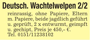 Deutsch. Wachtelwelpen 2/2reinrassig, ohne Papiere, Eltern m. Papiere, beide jagdlich geführt u. geprüft, 2 x entwurmt, geimpft u. gechipt, Preis je 450,- €.Tel. ***