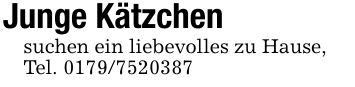 Junge Kätzchensuchen ein liebevolles zu Hause,Tel. ***