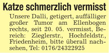 Katze schmerzlich vermisstUnsere Dalli, getigert, auffälliger großer Tumor am Ellenbogen rechts, seit 20. 05. vermisst, Bereich: Zieglerstr., Hochfeldstr., Friedenheim, bitte überall nachsehen, Tel: ***