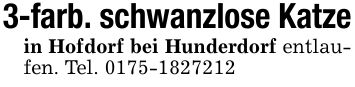 3-farb. schwanzlose Katzein Hofdorf bei Hunderdorf entlaufen. Tel. ***