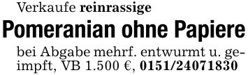 Verkaufe reinrassigePomeranian ohne Papierebei Abgabe mehrf. entwurmt u. geimpft, VB 1.500 €, ***