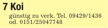 7 Koi günstig zu verk. Tel. ***od. ***