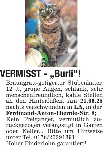 VERMISST - 