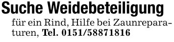 Suche Weidebeteiligungfür ein Rind, Hilfe bei Zaunreparaturen, Tel. ***