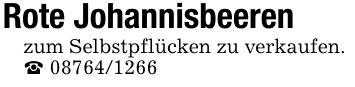 Rote Johannisbeeren zum Selbstpflücken zu verkaufen. ***