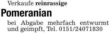 Verkaufe reinrassigePomeranian bei Abgabe mehrfach entwurmt und geimpft, Tel. ***