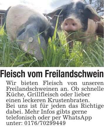Fleisch vom Freilandschwein Wir bieten Fleisch von unseren Freilandschweinen an. Ob schnelle Küche, Grillfleisch oder liebereinen leckeren Krustenbraten.Bei uns ist für jeden das Richtige dabei. Mehr Infos gibts gernetelefonisch oder per WhatsAppunter: ***