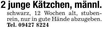 2 junge Kätzchen, männl.schwarz, 12 Wochen alt, stubenrein, nur in gute Hände abzugeben. Tel. ***
