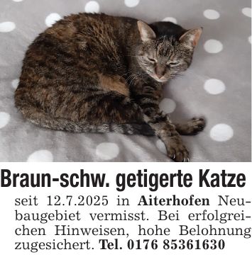 Braun-schw. getigerte Katze seit 12.7.2025 in Aiterhofen Neubaugebiet vermisst. Bei erfolgreichen Hinweisen, hohe Belohnung zugesichert. Tel. ***
