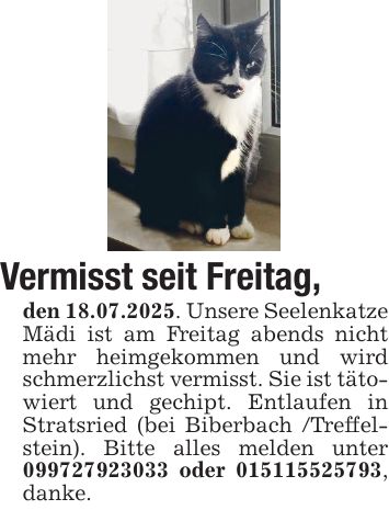 Vermisst seit Freitag, den 18.07.2025. Unsere Seelenkatze Mädi ist am Freitag abends nicht mehr heimgekommen und wird schmerzlichst vermisst. Sie ist tätowiert und gechipt. Entlaufen in Stratsried (bei Biberbach /Treffelstein). Bitte alles melden unter *** oder ***, danke.