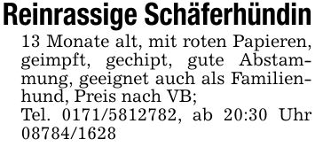 Reinrassige Schäferhündin13 Monate alt, mit roten Papieren, geimpft, gechipt, gute Abstammung, geeignet auch als Familienhund, Preis nach VB;Tel. ***, ab 20:30 Uhr ***