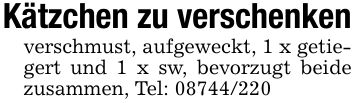 Kätzchen zu verschenkenverschmust, aufgeweckt, 1 x getiegert und 1 x sw, bevorzugt beide zusammen, Tel: ***