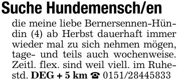 Suche Hundemensch/endie meine liebe Bernersennen-Hündin (4) ab Herbst dauerhaft immer wieder mal zu sich nehmen mögen, tage- und teils auch wochenweise. Zeitl. flex. sind weil viell. im Ruhestd. DEG + 5 km _ ***