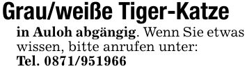 Grau/weiße Tiger-Katzein Auloh abgängig. Wenn Sie etwas wissen, bitte anrufen unter:Tel. ***