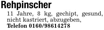Rehpinscher11 Jahre, 8 kg, gechipt, gesund, nicht kastriert, abzugeben,Telefon ***