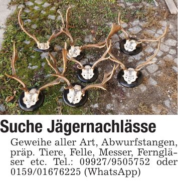 Suche Jägernachlässe Geweihe aller Art, Abwurfstangen, präp. Tiere, Felle, Messer, Ferngläser etc. Tel.: *** oder *** (WhatsApp)