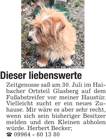 Dieser liebenswerte Zeitgenosse saß am 30. Juli im Haibacher Ortsteil Glasberg auf dem Fußabstreifer vor meiner Haustür. Vielleicht sucht er ein neues Zuhause. Mir wäre es aber sehr recht, wenn sich sein bisheriger Besitzer melden und den Kleinen abholen würde. Herbert Becker; _ ***
