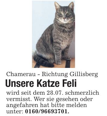 Chamerau - Richtung Gillisberg Unsere Katze Feli wird seit dem 28.07. schmerzlich vermisst. Wer sie gesehen oder angefahren hat bitte melden unter: ***.
