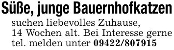 Süße, junge Bauernhofkatzen suchen liebevolles Zuhause, 14 Wochen alt. Bei Interesse gerne tel. melden unter ***