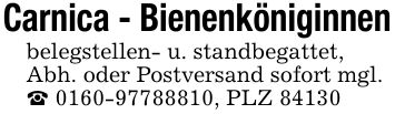 Carnica - Bienenköniginnen belegstellen- u. standbegattet, Abh. oder Postversand sofort mgl. _ ***, PLZ 84130