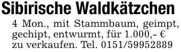 Sibirische Waldkätzchen4 Mon., mit Stammbaum, geimpt, gechipt, entwurmt, für 1.000,- €zu verkaufen. Tel. ***
