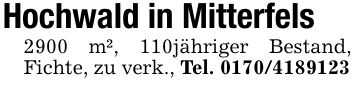 Hochwald in Mitterfels2900 m², 110jähriger Bestand, Fichte, zu verk., Tel. ***
