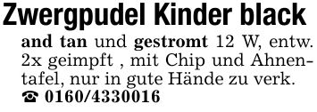 Zwergpudel Kinder black and tan und gestromt 12 W, entw. 2x geimpft , mit Chip und Ahnentafel, nur in gute Hände zu verk. _ ***