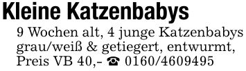 Kleine Katzenbabys9 Wochen alt, 4 junge Katzenbabys grau/weiß & getiegert, entwurmt,Preis VB 40,- _ ***