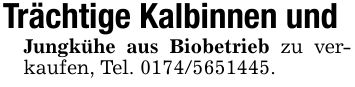 Trächtige Kalbinnen undJungkühe aus Biobetrieb zu verkaufen, Tel. ***.