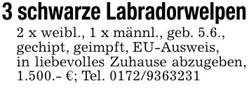 3 schwarze Labradorwelpen2 x weibl., 1 x männl., geb. 5.6.,gechipt, geimpft, EU-Ausweis,in liebevolles Zuhause abzugeben, 1.500.- €; Tel. ***