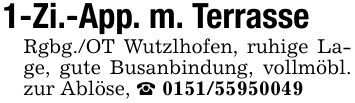 1-Zi.-App. m. TerrasseRgbg./OT Wutzlhofen, ruhige Lage, gute Busanbindung, vollmöbl. zur Ablöse, _ ***