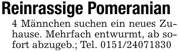 Reinrassige Pomeranian 4 Männchen suchen ein neues Zuhause. Mehrfach entwurmt, ab sofort abzugeb.; Tel. ***