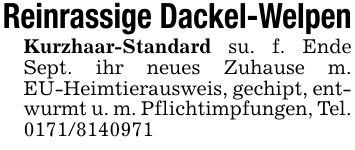 Reinrassige Dackel-WelpenKurzhaar-Standard su. f. Ende Sept. ihr neues Zuhause m. EU-Heimtierausweis, gechipt, entwurmt u. m. Pflichtimpfungen, Tel. ***