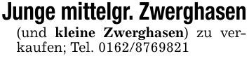 Junge mittelgr. Zwerghasen(und kleine Zwerghasen) zu verkaufen; Tel. ***