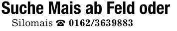 Suche Mais ab Feld oderSilomais _ ***