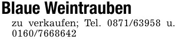 Blaue Weintraubenzu verkaufen; Tel. *** u. ***