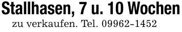 Stallhasen, 7 u. 10 Wochenzu verkaufen. Tel. ***