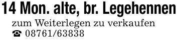 14 Mon. alte, br. Legehennenzum Weiterlegen zu verkaufen_ ***