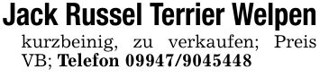 Jack Russel Terrier Welpenkurzbeinig, zu verkaufen; Preis VB; Telefon ***