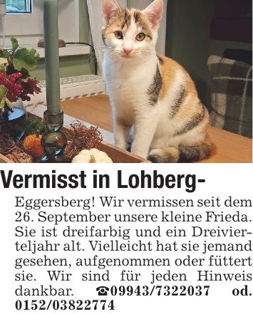 Vermisst in Lohberg- Eggersberg! Wir vermissen seit dem 26. September unsere kleine Frieda. Sie ist dreifarbig und ein Dreivierteljahr alt. Vielleicht hat sie jemand gesehen, aufgenommen oder füttert sie. Wir sind für jeden Hinweis dankbar. _*** od. ***