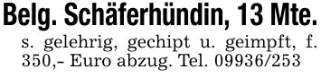 Belg. Schäferhündin, 13 Mte.s. gelehrig, gechipt u. geimpft, f. 350,- Euro abzug. Tel. ***