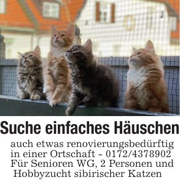 Suche einfaches Häuschenauch etwas renovierungsbedürftigin einer Ortschaft - *** Für Senioren WG, 2 Personen und Hobbyzucht sibirischer Katzen