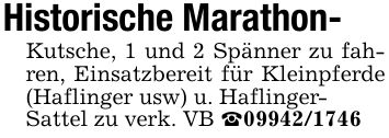 Historische Marathon-Kutsche, 1 und 2 Spänner zu fahren, Einsatzbereit für Kleinpferde (Haflinger usw) u. Haflinger-Sattel zu verk. VB _***