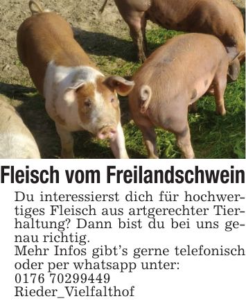 Fleisch vom Freilandschwein Du interessierst dich für hochwertiges Fleisch aus artgerechter Tierhaltung? Dann bist du bei uns genau richtig. Mehr Infos gibt's gerne telefonisch oder per whatsapp unter: *** Rieder_Vielfalthof