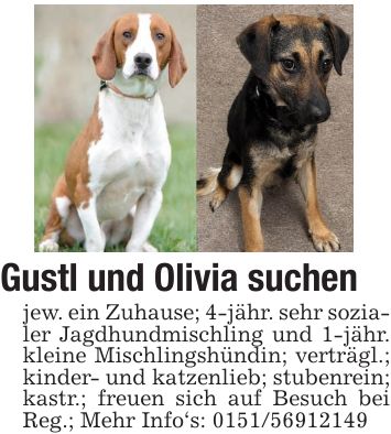 Gustl und Olivia suchen jew. ein Zuhause; 4-jähr. sehr sozialer Jagdhundmischling und 1-jähr. kleine Mischlingshündin; verträgl.; kinder- und katzenlieb; stubenrein; kastr.; freuen sich auf Besuch bei Reg.; Mehr Info's: ***