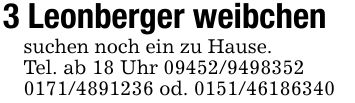 3 Leonberger weibchensuchen noch ein zu Hause.Tel. ab 18 Uhr *** od. ***