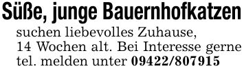 Süße, junge Bauernhofkatzensuchen liebevolles Zuhause,14 Wochen alt. Bei Interesse gerne tel. melden unter ***