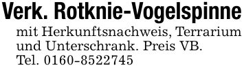 Verk. Rotknie-Vogelspinnemit Herkunftsnachweis, Terrarium und Unterschrank. Preis VB.Tel. ***